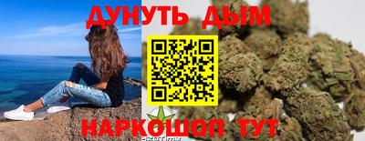индика Заводоуковск