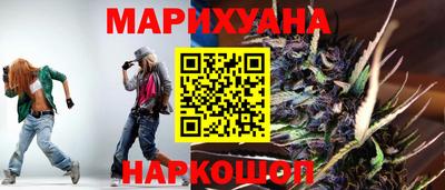 индика Заводоуковск