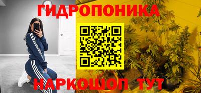 индика Заводоуковск