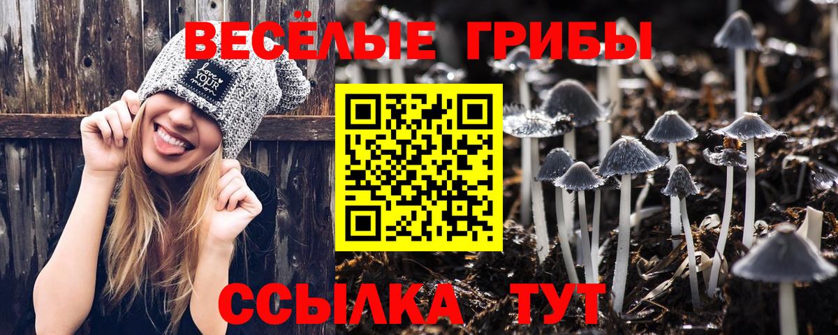 Галлюциногенные грибы Psilocybine cubensis Мариинск