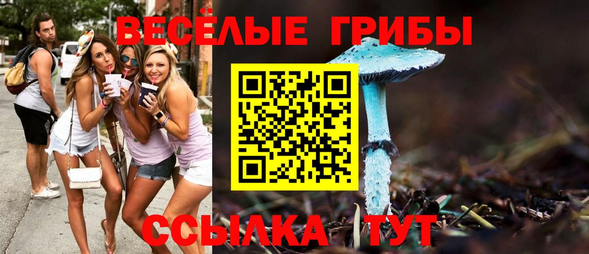 Галлюциногенные грибы Magic Shrooms  Вход с VPN  Псилоцибиновые грибы ЛСД  Мариинск 